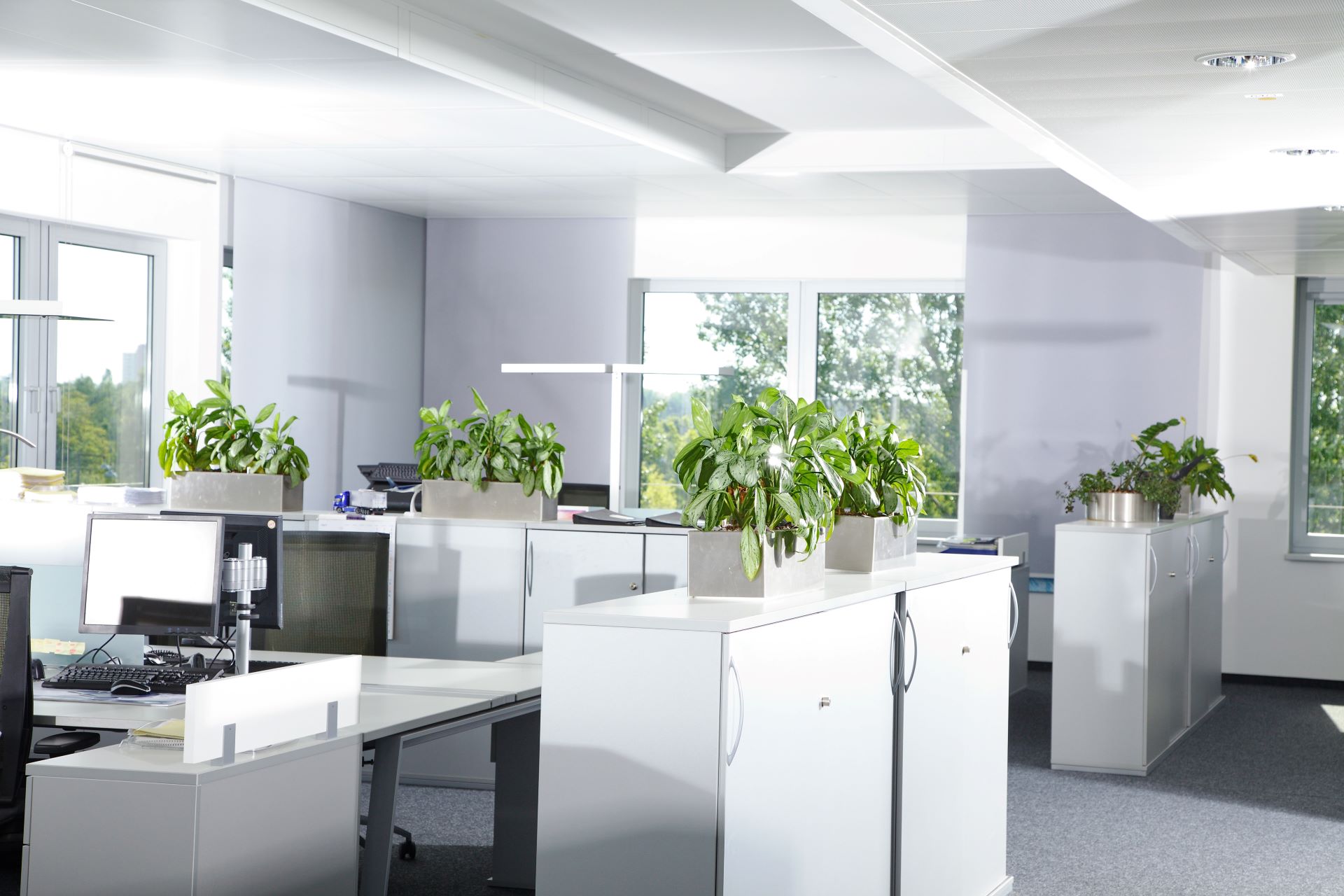 Resume Writing Services Molendinar QLD